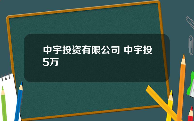 中宇投资有限公司 中宇投5万